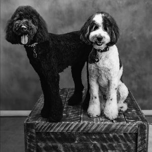 Meet your Posher, Fran